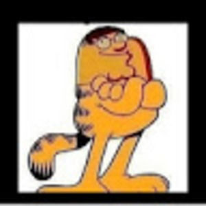 Meet your Posher, Paige